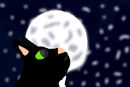 ravenpaw-1