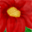 flower-power