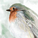 bird-in-june