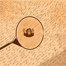 lost-in-my-words