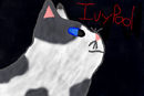ivypaw