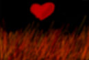 burning-heart