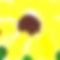sunflower by popstarlc