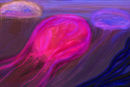 jellyfish-world jellyfish-world