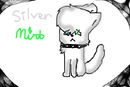 silvermint