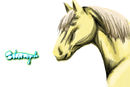 palomino-horse