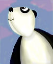 panda panda