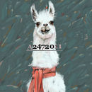 an-animal-in-july
