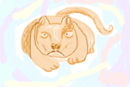 cat-xd