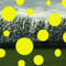 yellow by pgw