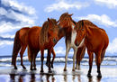 horses horses
