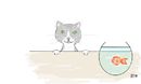 mowgli-my-cat