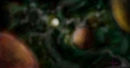 birthsolarsystem