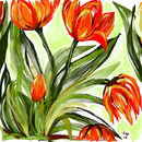 a-bunch-of-tulips