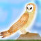 barn-owl by DragonWings