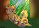 fruitfalls-kits