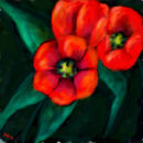 red-flowers