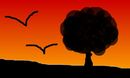sunset-birds
