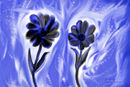 flowers flowers