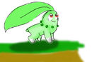 wip-chikorita