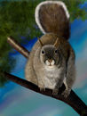 need-more-nuts