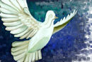 dove