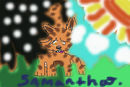 samantha-my-cat