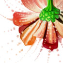 flowes-soul