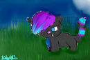 shinepaw