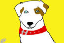 doggy