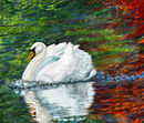 autumn-swan