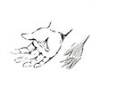 anatomy-of-the-hand anatomy-of-the-hand