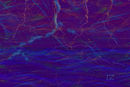 storm
