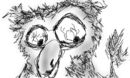 birtdy birtdy