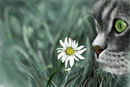 discovering-the-world