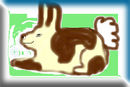 bunny