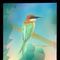 bird by vina