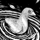 water-bird-and-three-f