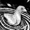 water-bird-and-three-f by PaynesGrey