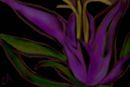 abstract-flower