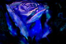 untitled-1