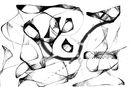 testing