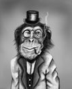 mr-chimp