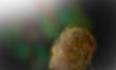 seeing-the-light