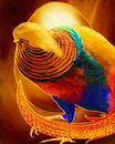 phoenix