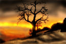 fire-sky fire-sky