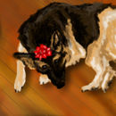 sleeping-christmas-bea