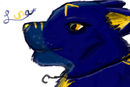 contest-entry-4-blackh