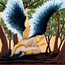 wings