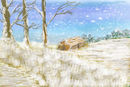 blizz